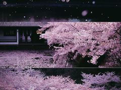 -1点点(中山门大街店)