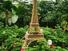 -南宫五洲植物乐园