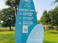 -贡湖湾湿地公园