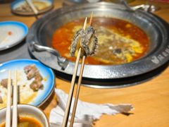 -成老灶火锅鸡(高东街店)