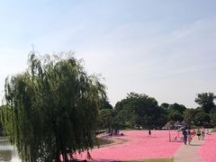 -上海杨姆庄园