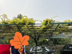 -北京京宝行宝马4S店(闵庄路店)