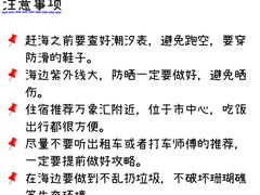 -日照灯塔风景区