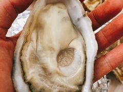 -Oyster Talks 四度蚝法餐厅