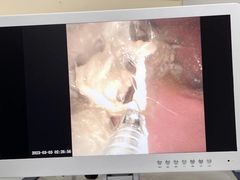 -瑞派宠物医院·24h·骨外科·皮肤科·全科宠物医疗转诊中心(沈阳浑南院)