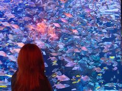 -成都浩海立方海洋公园