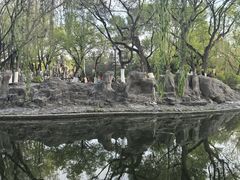 -满都海公园