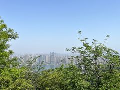 -桃花岭景区