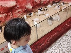 -上海大自然野生昆虫馆(东方明珠·爬宠昆虫探索中心)