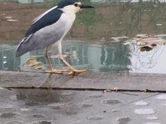 -白塘生态植物园