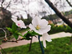 -洋湖国家湿地公园