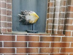 -永安鱼庄·镇江菜(东吴路店)