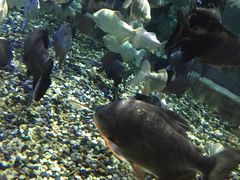 -成都浩海立方海洋公园