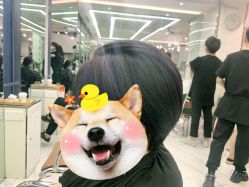 -潘多拉Hairsalon