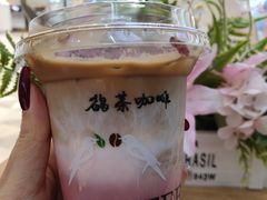-鹊茶咖啡•新中式(深圳首店)