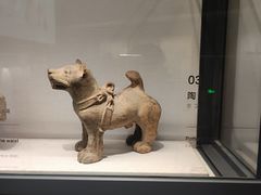 -四川大学博物馆