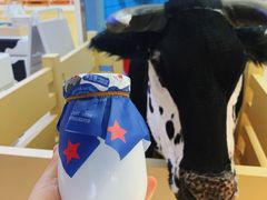 -红星前进面包牛奶公司(君太店)