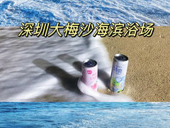 -大梅沙海滨公园