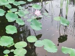 -满都海公园