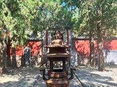 -泰山风景名胜区-普照寺