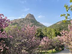 -威海大乳山景区
