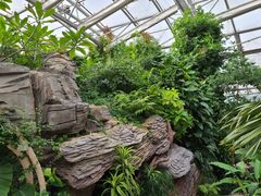 -北京植物园-展览温室