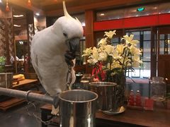 -那家小馆•北京菜•烤鸭(香山店)