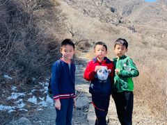 -阳台山自然风景区