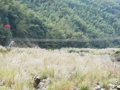 -九鲤溪瀑景区