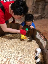 -宝燕乐园(闵行旗舰店)