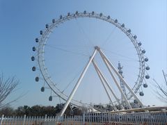 -日照海滨国家森林公园