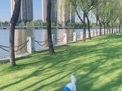 -宠颐生斯嘉宠物医院·急重症·心内科(谷阳北路分院)
