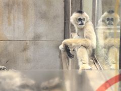 -昆明动物园