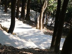 -火炉山森林公园