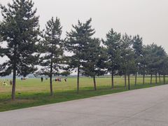 -汉长安城未央宫国家考古遗址公园