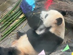 -大连森林动物园