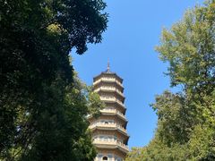 -灵谷景区