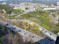 -福道