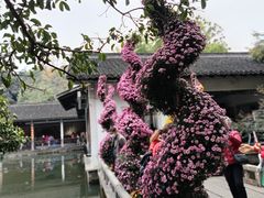 -杭州植物园