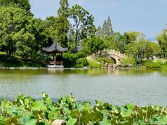 -江心屿景区