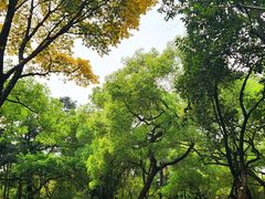 -晓港公园