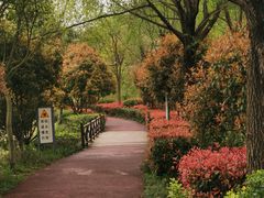-石塘人家