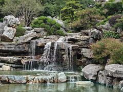 -东莞植物园