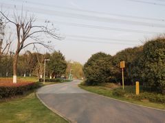 -九里河湿地公园