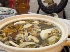 -蘑统田下·野生菌火锅