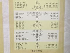 -上海海洋大学鱼文化博物馆(军工路校区)