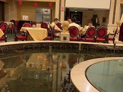 -碧中海汤泉汗蒸酒店