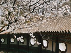 -颐和园