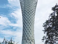 -上海滨江森林公园