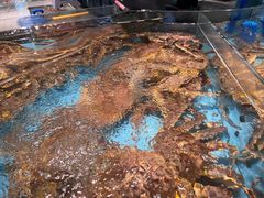 -渔傅·霞浦滩涂海鲜(建平店)